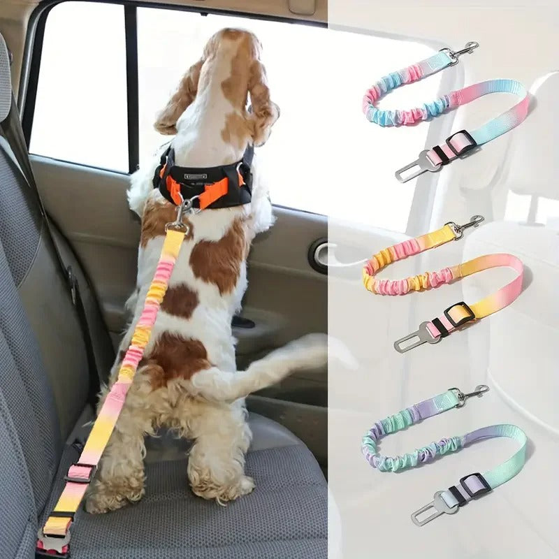 Daytrip Safety Strap