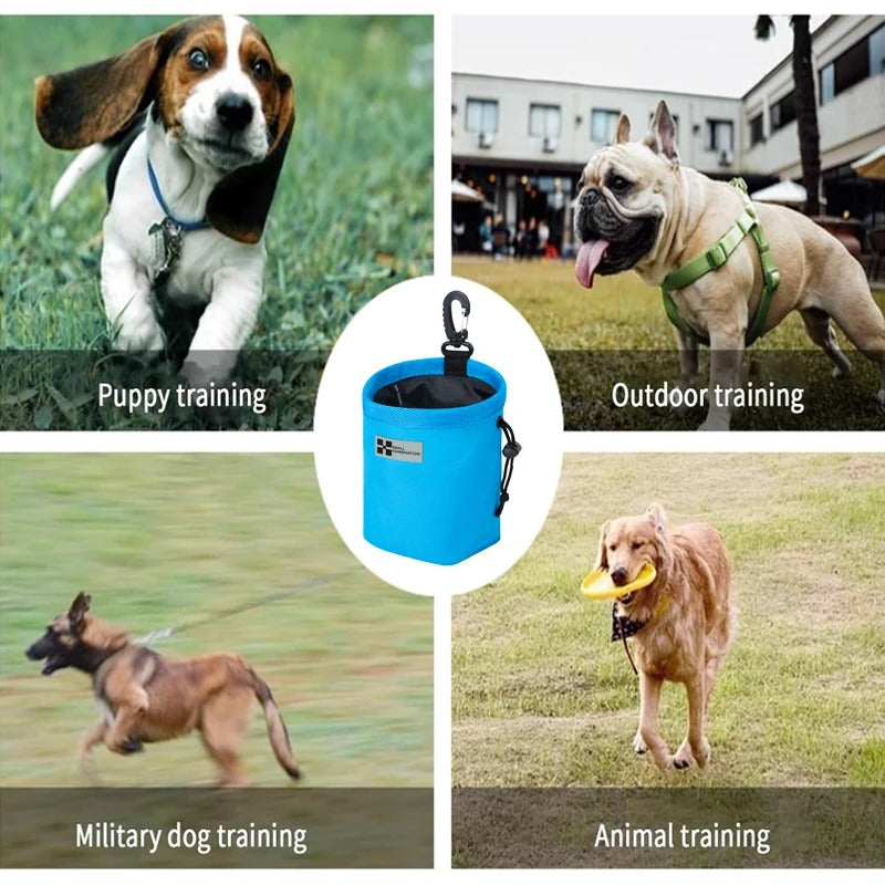 ClipGo Compact Treat Trainer