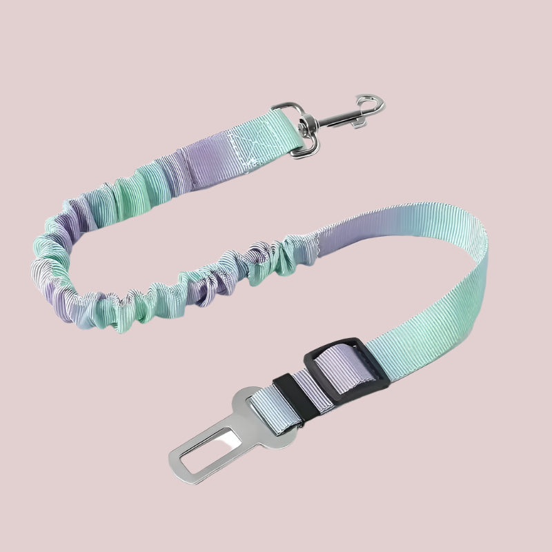 Daytrip Safety Strap