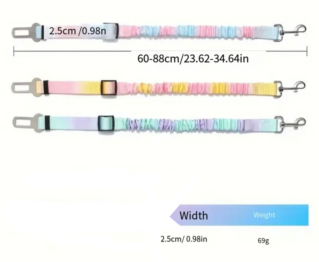 Daytrip Safety Strap