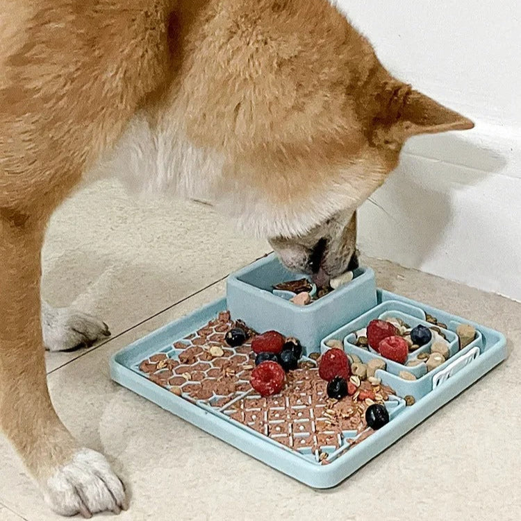 Snacktivity Tray