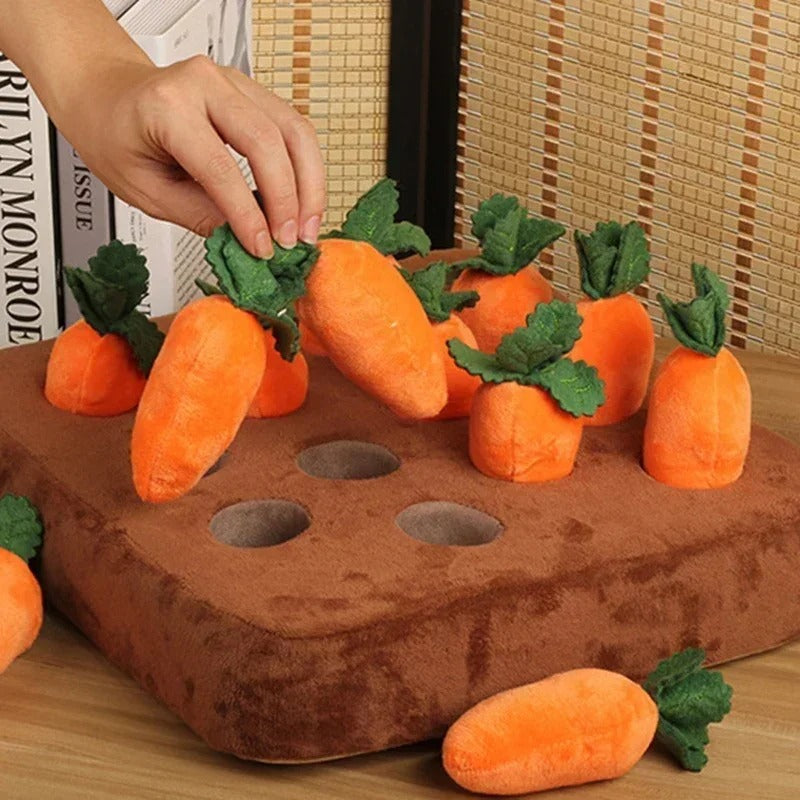 Carrot Garden Snuffle Mat