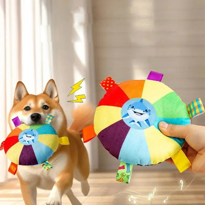 Zoomie Disc