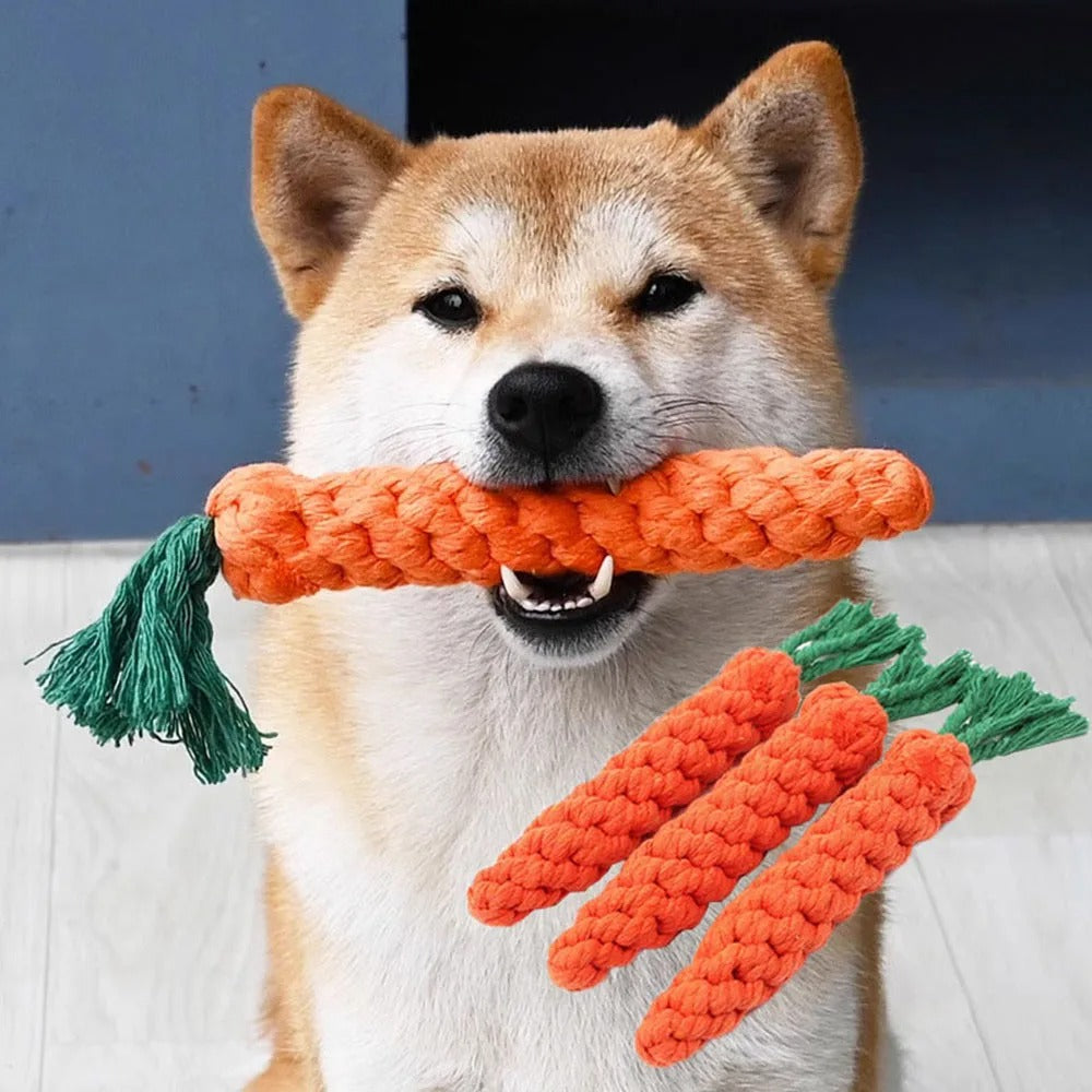Crunchy Carrot