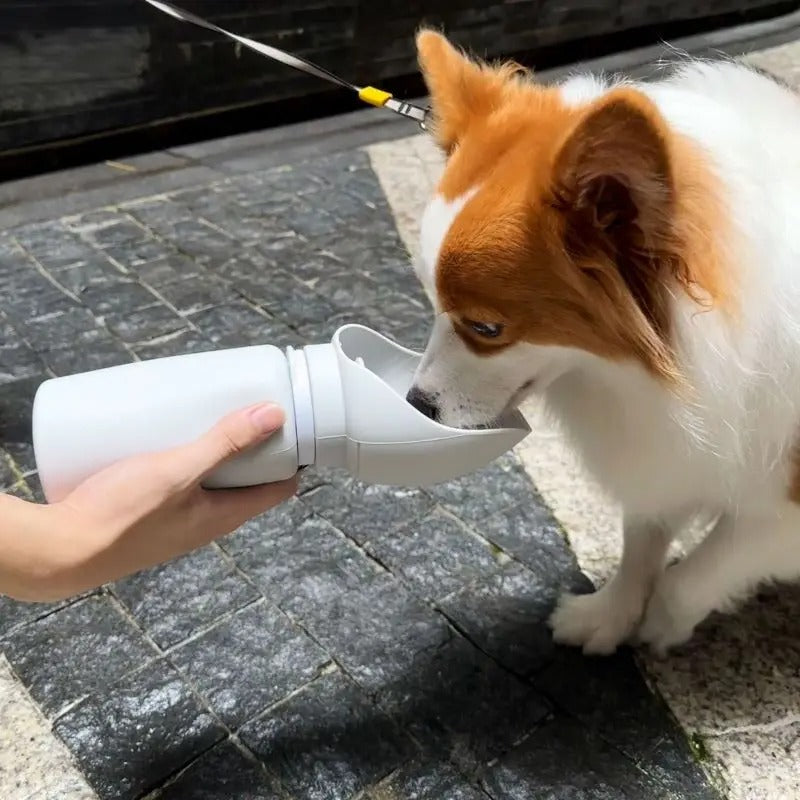 Nomad Sip Bottle