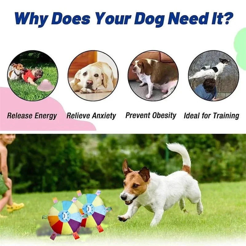 Zoomie Disc