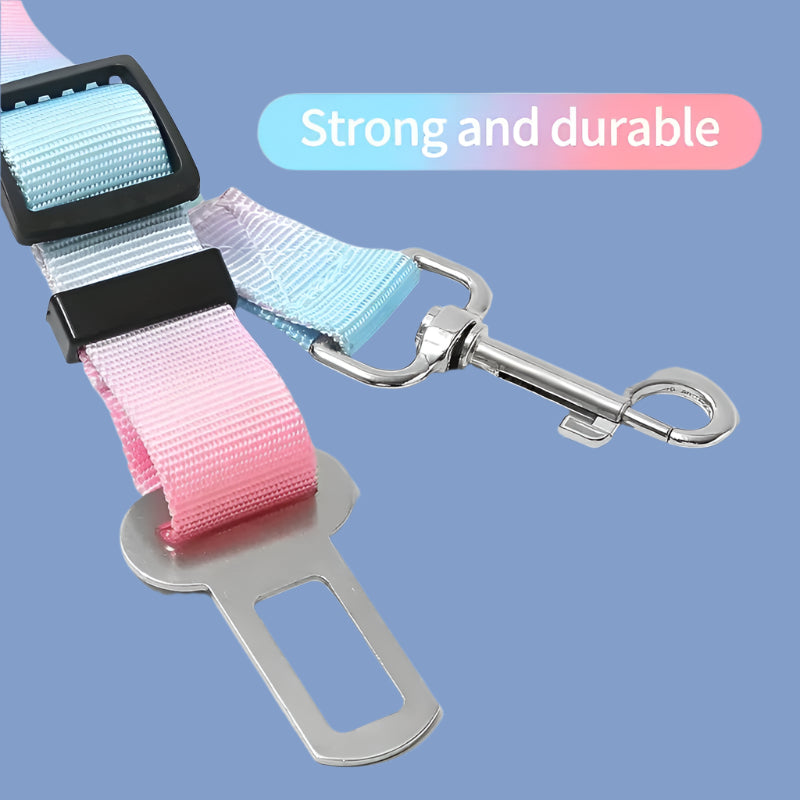 Daytrip Safety Strap