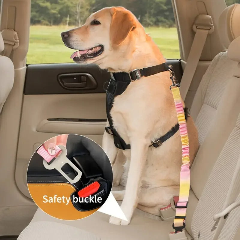 Daytrip Safety Strap