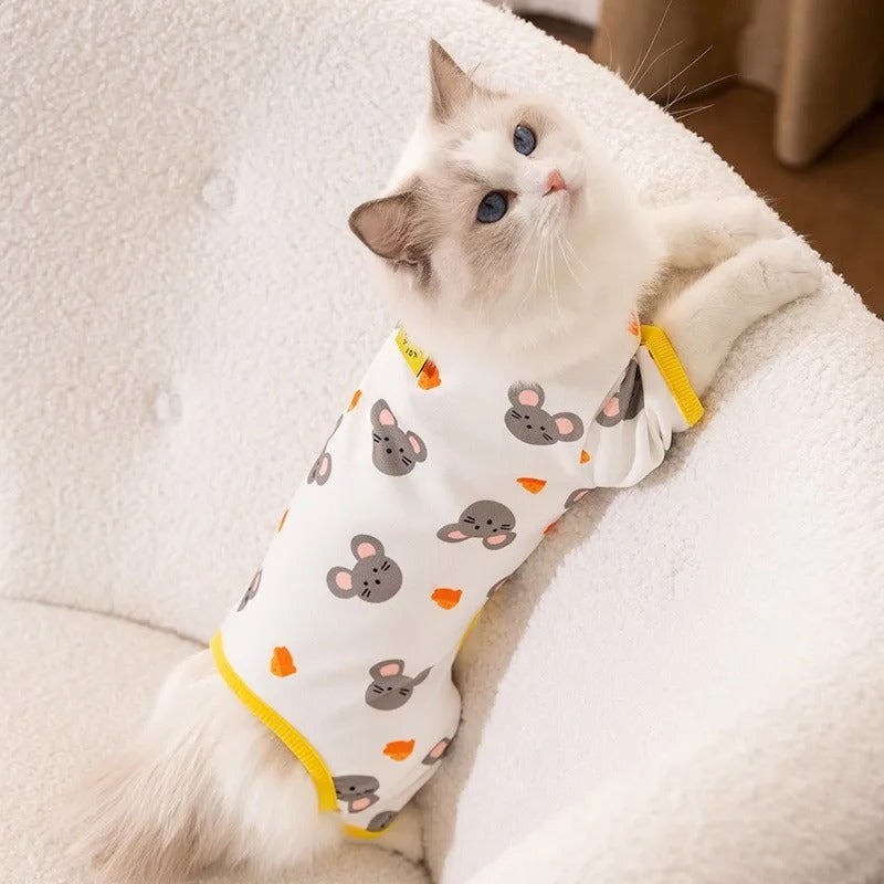 Cheddar Chomp Romper