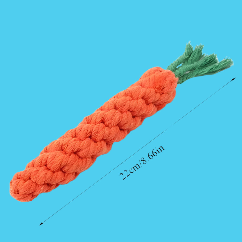 Crunchy Carrot
