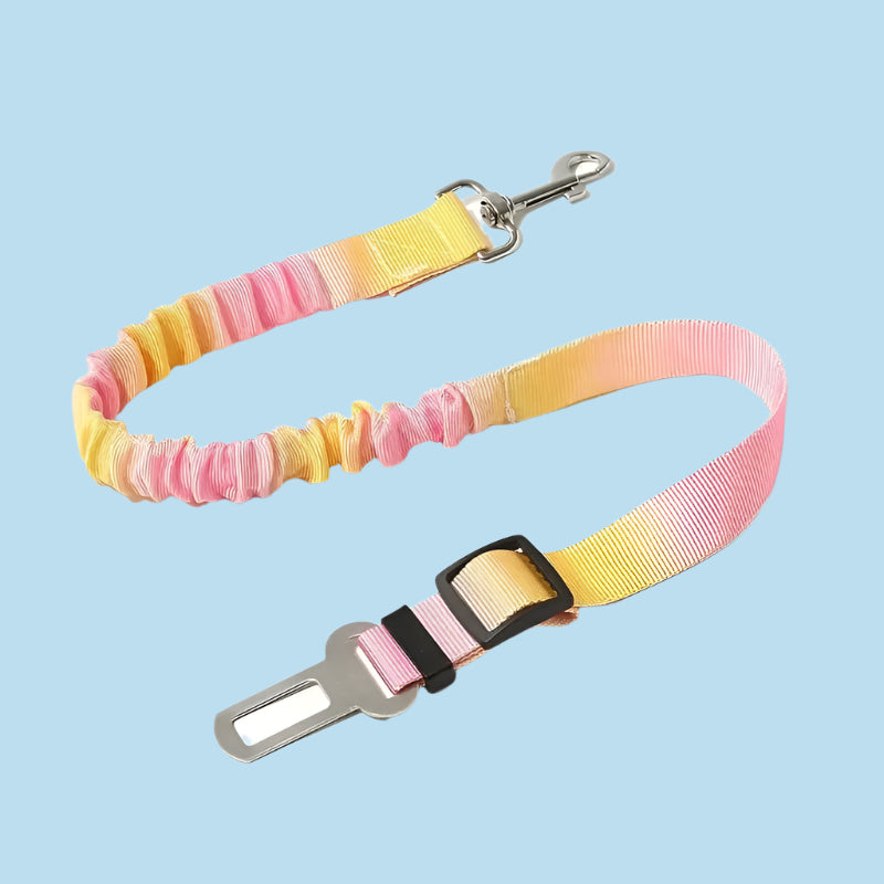 Daytrip Safety Strap