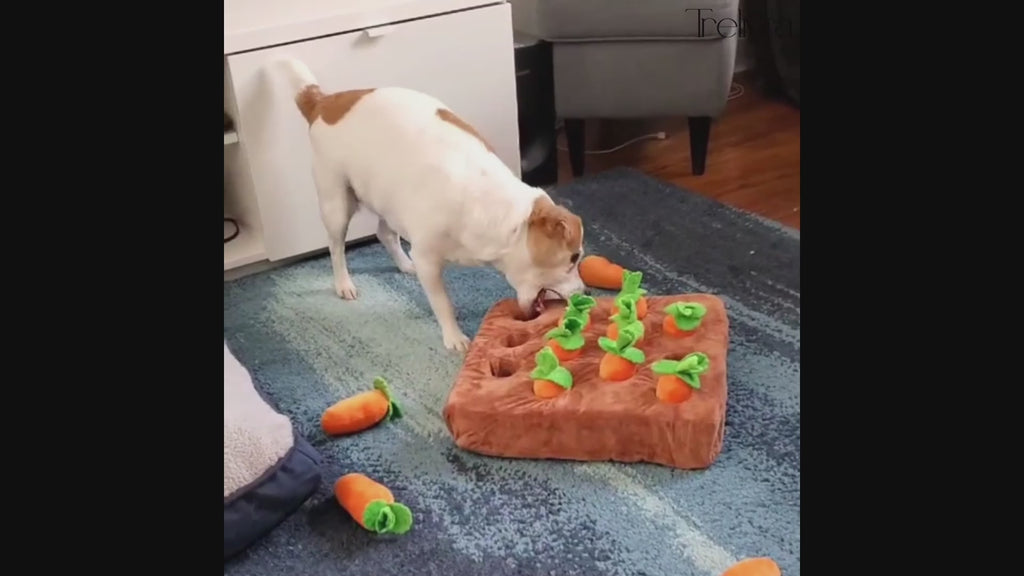 Carrot Garden Snuffle Mat