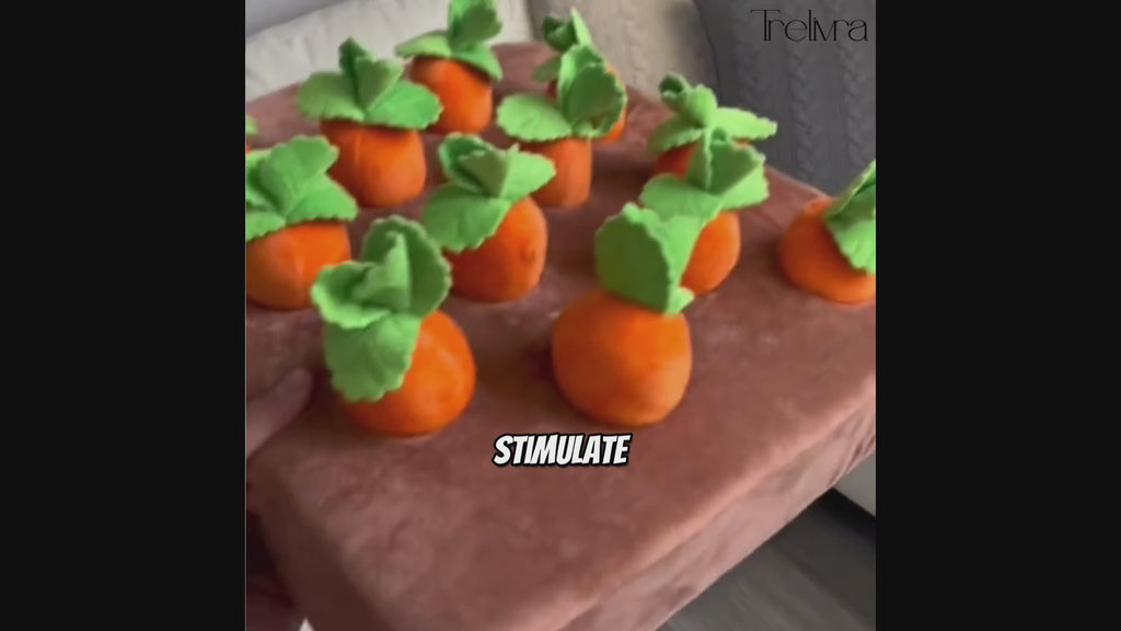 Carrot Garden Snuffle Mat